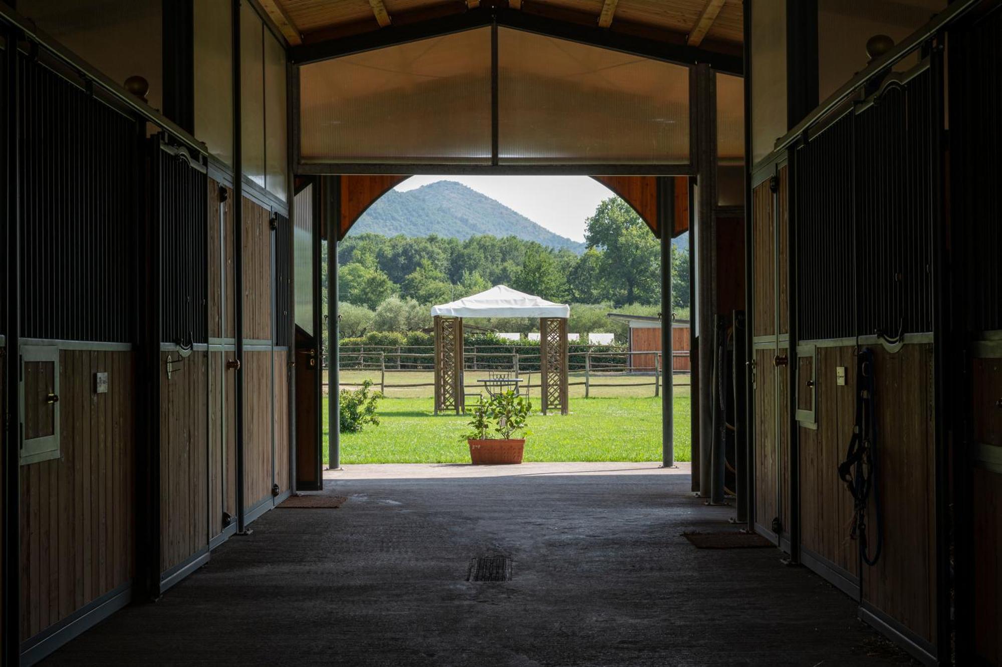 Family Farm Soc. Agr. A R.L. Villa Vairano Patenora Bagian luar foto